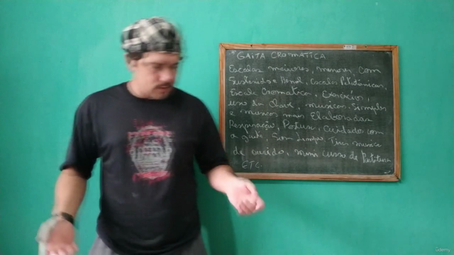 Gaita Harmônica Cromática – Screenshot 3