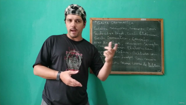 Gaita Harmônica Cromática – Screenshot 4