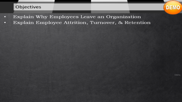 Leadership Morale and Employee Turnover – Screenshot 2