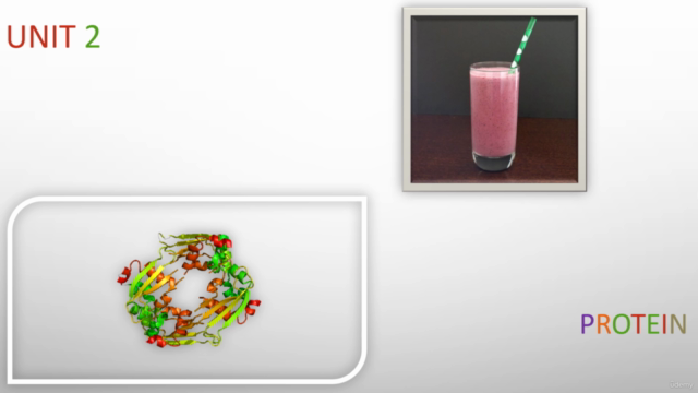 Biomolecules, Introduction to enzymes and folding of protein – Screenshot 1
