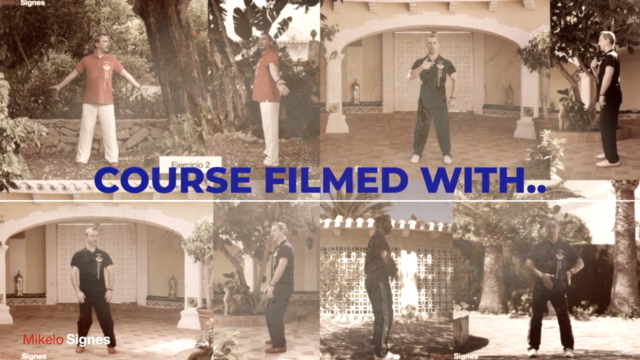 Tai Chi and Qi Gong. Internal Arts, Sifu Mikelo Signes – Screenshot 2