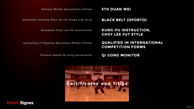 Tai Chi and Qi Gong. Internal Arts, Sifu Mikelo Signes – Screenshot 4