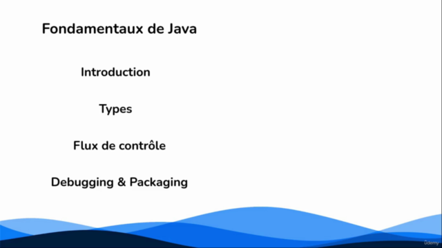 Programmation Orientée Objet en Java – Screenshot 2