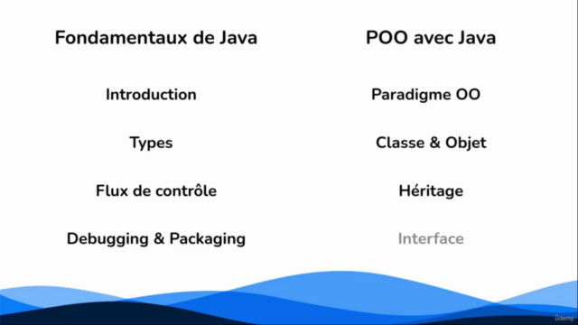 Programmation Orientée Objet en Java – Screenshot 3