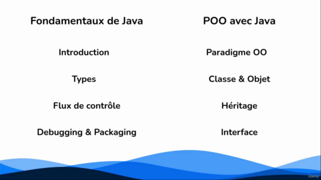 Programmation Orientée Objet en Java – Screenshot 4