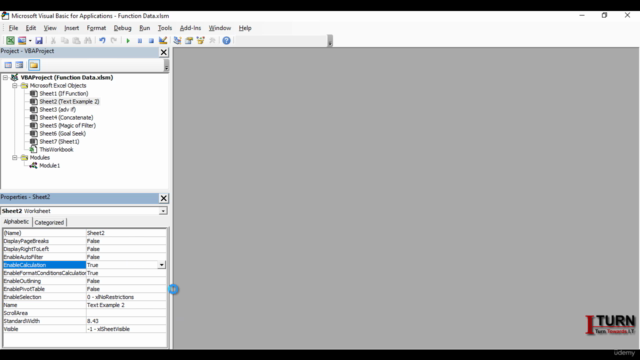 Master Excel VBA and Excel Macros - Complete Guide in Hindi – Screenshot 3