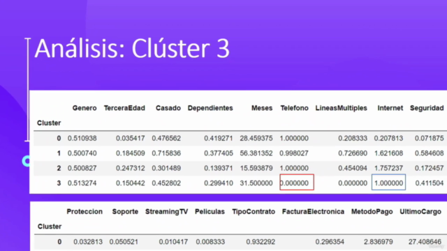 Machine Learning Aplicada a Marketing Analytics con Python – Screenshot 3