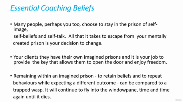 Life Coaching: ZERO TO HERO Life Coach certificate Course - Screenshot_02