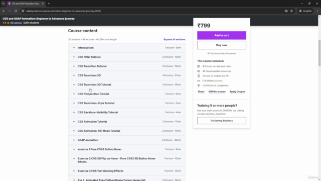 CSS and GSAP Animation: Beginner to Advanced journey – Screenshot 2
