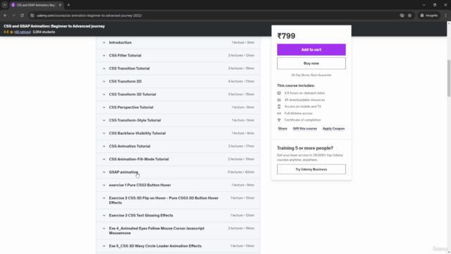 CSS and GSAP Animation: Beginner to Advanced journey – Screenshot 3
