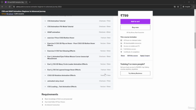 CSS and GSAP Animation: Beginner to Advanced journey – Screenshot 4