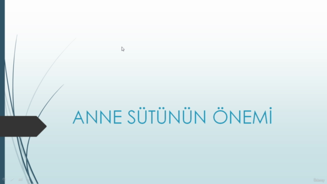 Anne Sütünü Önemi – Screenshot 1