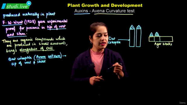 Biology : Plant Growth & Development – Screenshot 2