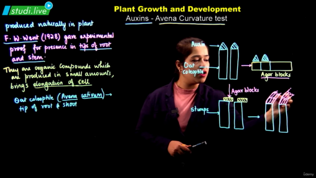 Biology : Plant Growth & Development – Screenshot 3