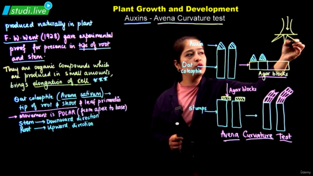 Biology : Plant Growth & Development – Screenshot 4