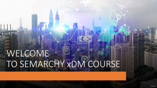 Introducing Semarchy xDM (MDM) for Beginners – Screenshot 1