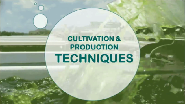 Growing spirulina : start spirulina farming business – Screenshot 3