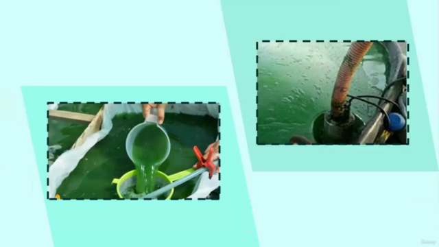 Growing spirulina : start spirulina farming business – Screenshot 4