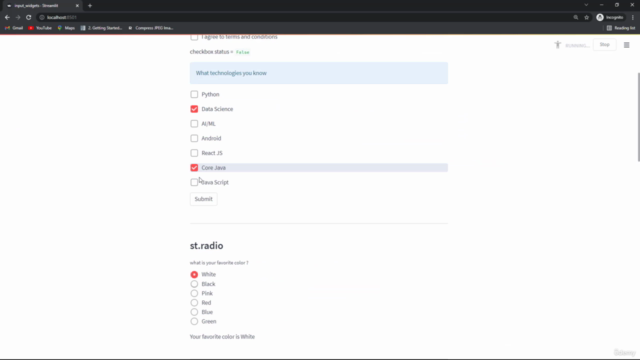 Learn & Deploy Data Science Web Apps with Streamlit – Screenshot 2