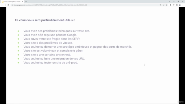 Auditez votre site avec Screaming Frog : le Guide Complet – Screenshot 2