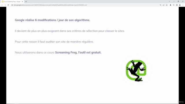 Auditez votre site avec Screaming Frog : le Guide Complet - Screenshot_03