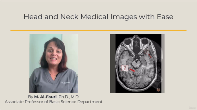 Head and Neck Medical Images WITH EASE! - Screenshot_02