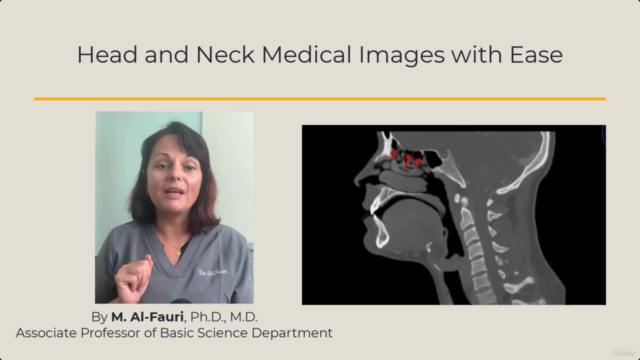Head and Neck Medical Images WITH EASE! - Screenshot_04