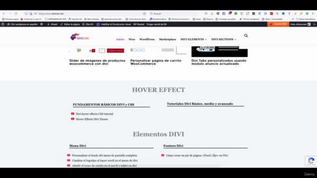 Aprende los fundamentos básicos de divi – Screenshot 1