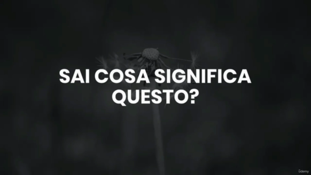 Vendere su Amazon con sistema Retail 3.0 assistenza inclusa! – Screenshot 1