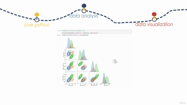 Python for Data Analysis & Visualization 2022 - Screenshot_03