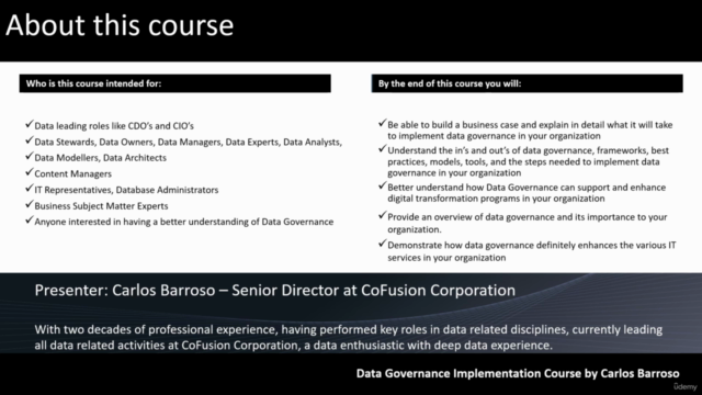 Step-by-step Data Governance Implementation Guide – Screenshot 1