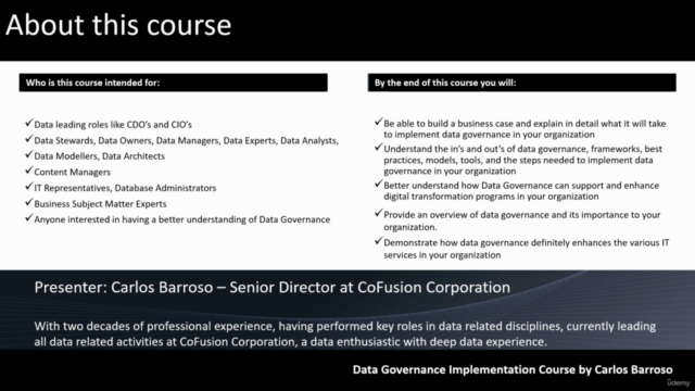 Step-by-step Data Governance Implementation Guide – Screenshot 2