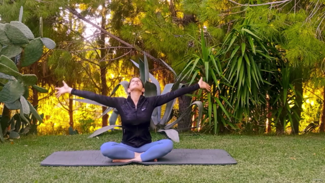 Yoga pour Débutants. Challenge 10 séances de 20' - Screenshot_02