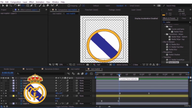 Logo Animation Master Class - All in One Course (Premium) - Screenshot_02