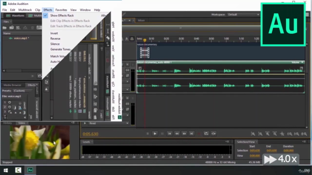 Adobe Audition Cc - Complete Beginners Guide to Intermediate – Screenshot 3