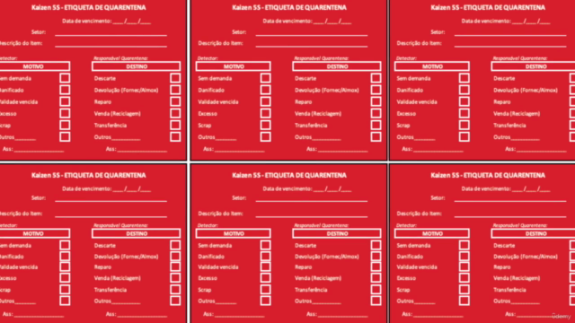Programa 5S [KIT DE IMPLEMENTAÇÃO PRÁTICA] + [1 CURSO EXTRA] – Screenshot 2