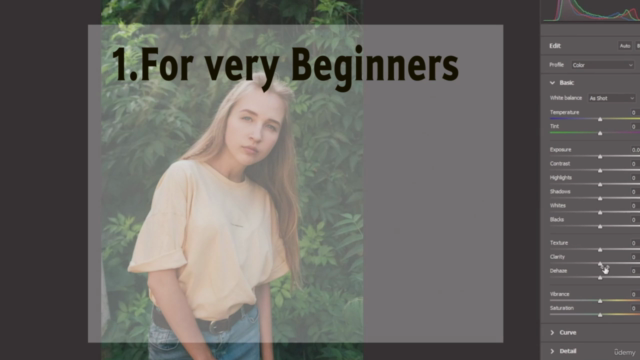 Beginner's Guide To Adobe Photoshop: Basic Photo Editing – Screenshot 1
