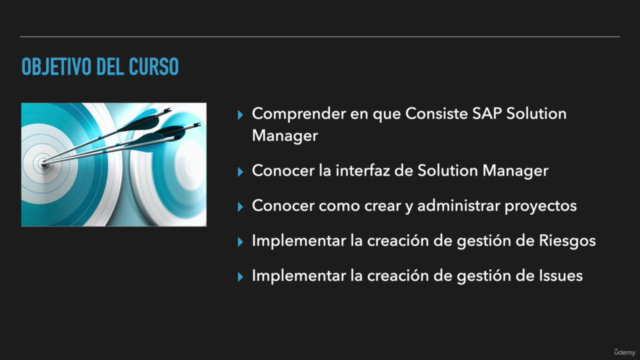 SAP Solution Manager - Focused Build Project Manager – Screenshot 1