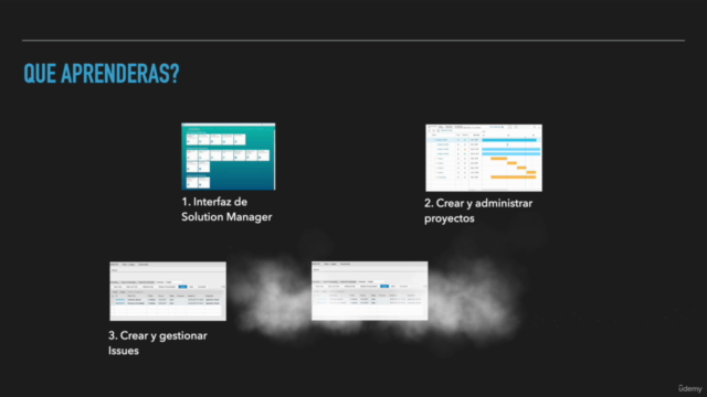 SAP Solution Manager - Focused Build Project Manager – Screenshot 2