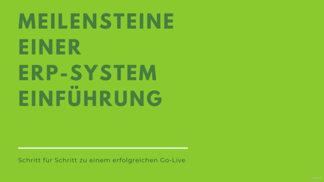 Go Live - ein ERP-System erfolgreich in Betrieb nehmen – Screenshot 4