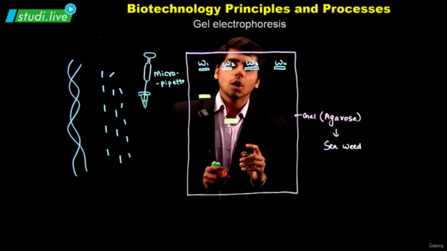 Biology - Biotechnology Principles and Processes – Screenshot 2