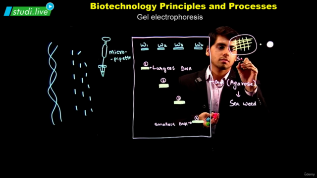 Biology - Biotechnology Principles and Processes – Screenshot 3