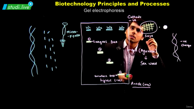 Biology - Biotechnology Principles and Processes – Screenshot 4