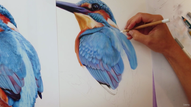 Corso di disegno iperrealistico a pastello – Screenshot 4