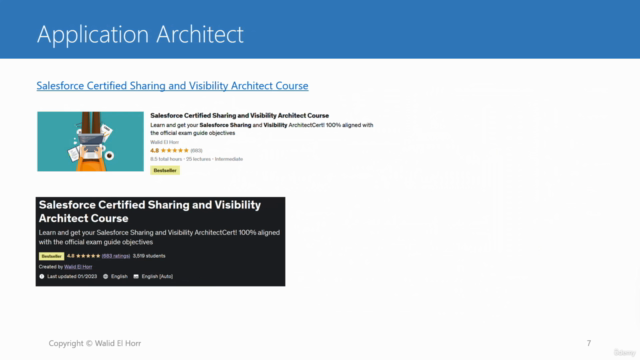 Salesforce Data Architect Course - Screenshot_02