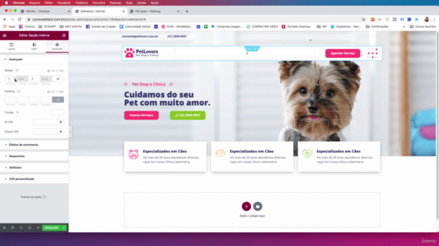 WebFácil: Crie sites com Wordpress e Elementor – Screenshot 1