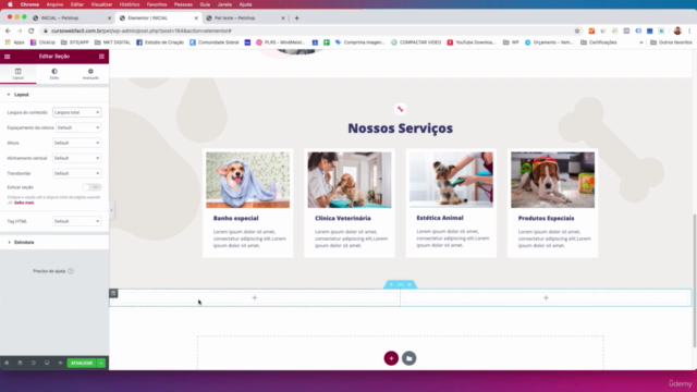 WebFácil: Crie sites com Wordpress e Elementor – Screenshot 2