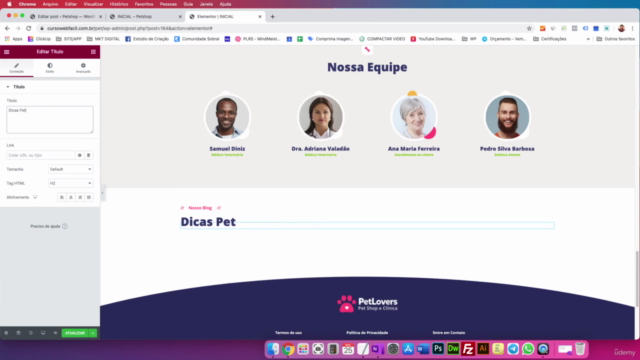 WebFácil: Crie sites com Wordpress e Elementor – Screenshot 4