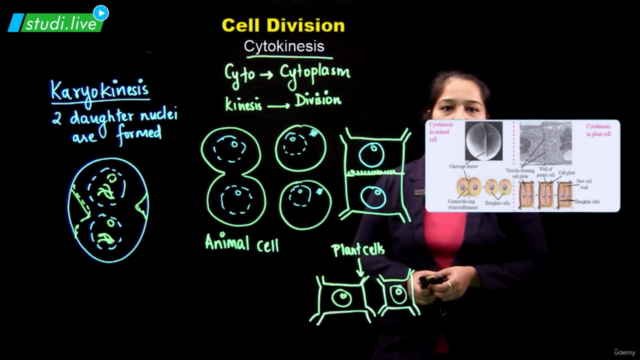 Biology - Cell Division – Screenshot 4