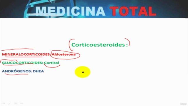 Fisiología endocrina - +10 horas! – Screenshot 1